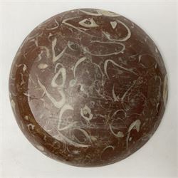 Large circular dish with a raised Goniatite to the centre and Orthoceras inclusion, age: Devonian period, location: Morocco, D30cm