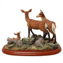 Border Fine Arts group 'Red Hind, Follower & Calf', another of a deer by James Harvey 262/850, another 'Red Hind & Calf' by David Walton and a Sherratt & Simpson group of deer (4) 