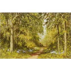 Tony Malton (British 20th century): Woodland Landscape with Bluebells, oil on board signed 15cm x 23cm