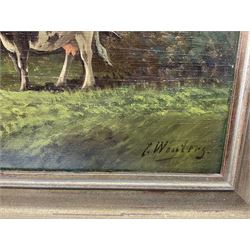 C Wouters (Dutch 20th Century): Grazing Cows, oil on board signed 38cm x 58cm 