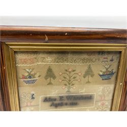 Victorian needlework sampler, depicting cat, peacock, tree and plant motifs, with a band of alphabet and numbers above, worked by Alice E Whitehead, aged eight years, dated 1886, framed, H40cm