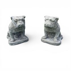 Pair of cast stone garden bulldogs with studded collars