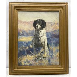 Henry Charles 'Hal' Bevan-Petman (Scottish 1894-1980): Portrait of a Spaniel, oil on canvas signed and dated '52, 37cm x 29cm