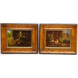  Hens in a Barn, pair of oils on panel signed by Keith Tovey (British 20th century) 11.5cm x 16.5cm  