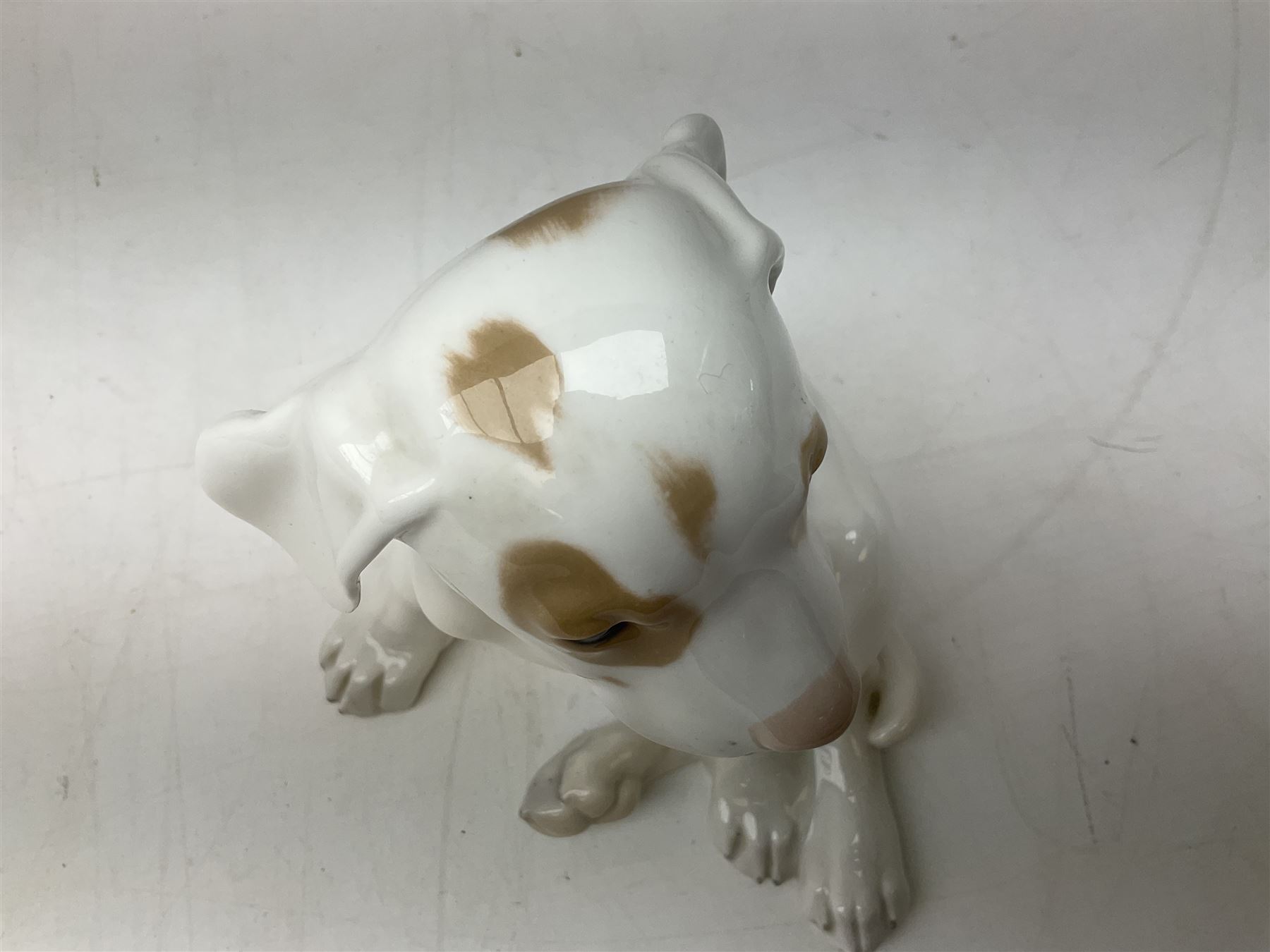 Royal Copenhagen figure of a pointer puppy, modelled seated with rare white and brown patch colourway, designed by Erik Nielsen, model no 259, date code for 1889-1922, with printed and painted marks beneath, H19cm