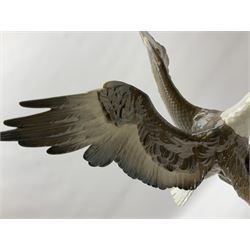 Lladro figure, Liberty Eagle, modelled as an eagle upon a branch with outstretched wings, limited edition 574/1500, no 1738, year issued 1998, year retired 1999, H40cm  