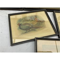 Hunting scenes, set of four 19th/20th century coloured engravings pub. R Ackerman London 1832, 25cm x 31cm; a set of three prints of Birds and pair Hunting prints after Alken (9)