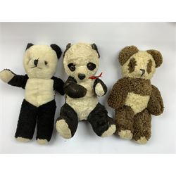 Seven English panda bears c1930s-50s including two Pedigree with plastic dog type noses H11.5