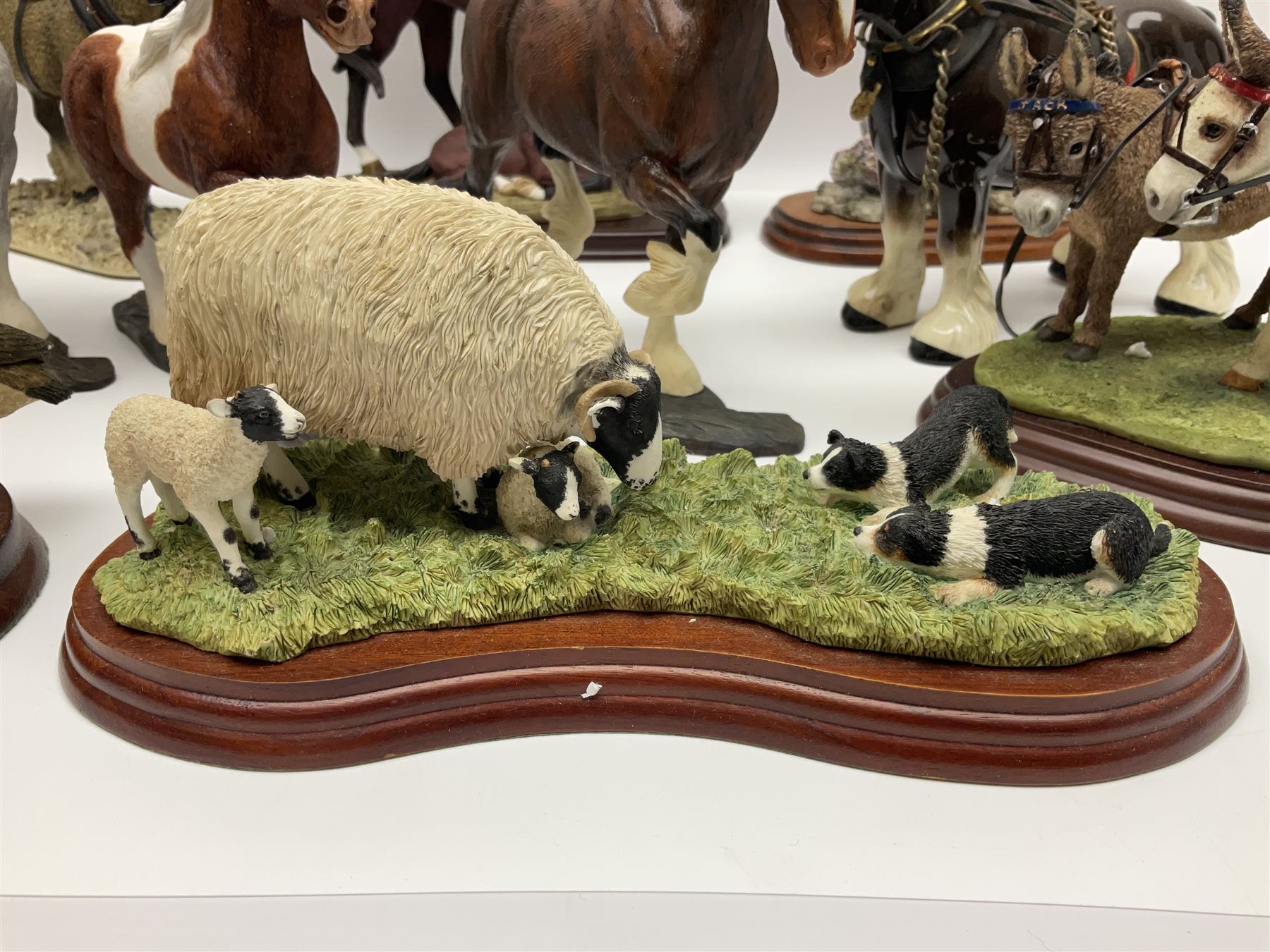 Four Border Fine Arts Action Horses, comprising Shire/Heavy Horse, Welsh Cob, Vanna, grey Shire, together with At the Fete and other Border Fine Arts and similar figures  