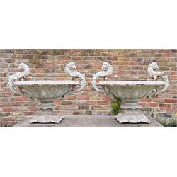 Pair of French cast iron garden urns with griffon handles. H50cm. 