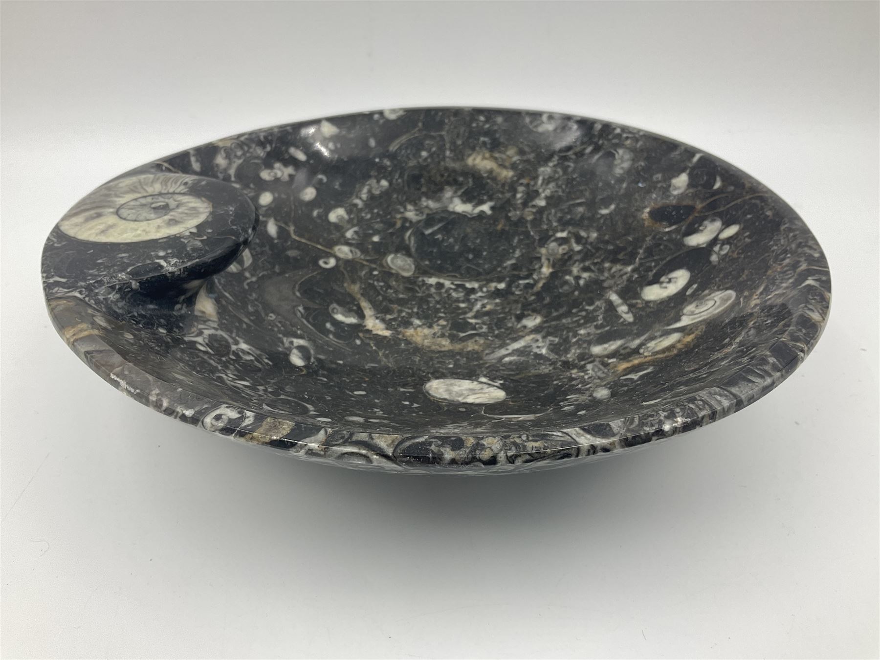 Circular dish with a raised goniatite, with orthoceras and goniatite inclusions, age: Devonian period, location: Morocco, D22cm, H5cm

