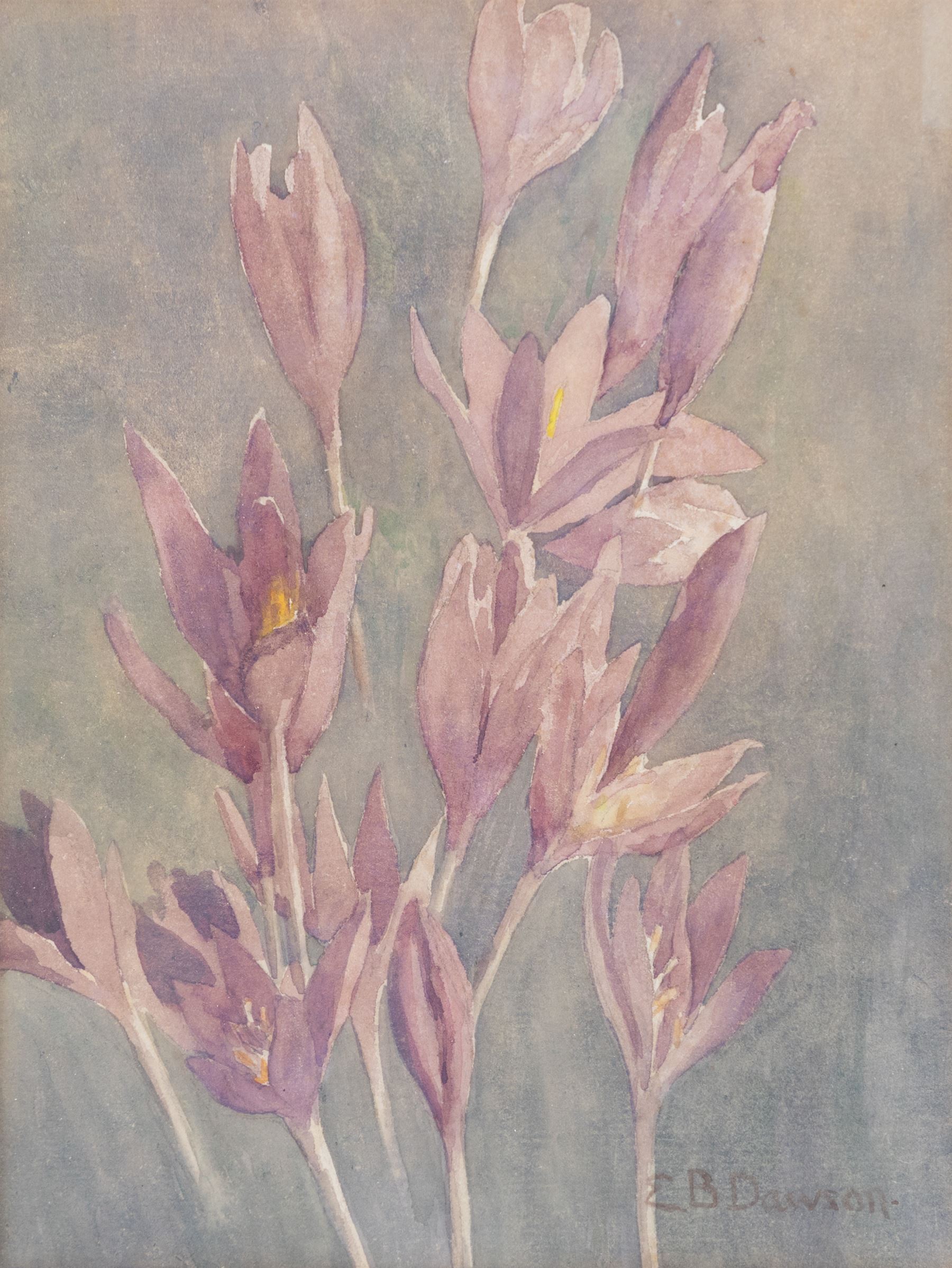 Edith Brearey Dawson (née Robinson) (British 1862-1928): Purple Flowers, watercolour signed 20cm x 15cm
Notes: Edith was the daughter of a Quaker Schoolmaster living in Scarborough as early as 1881, she studied under Albert Strange at the Scarborough School of Art, exhibiting at the Royal Academy and the RBA between 1889 and 1893. She married fellow artist Nelson Ethelred Dawson in 1893 then moving to London she mostly abandoned painting in favour of metal and enamel work.