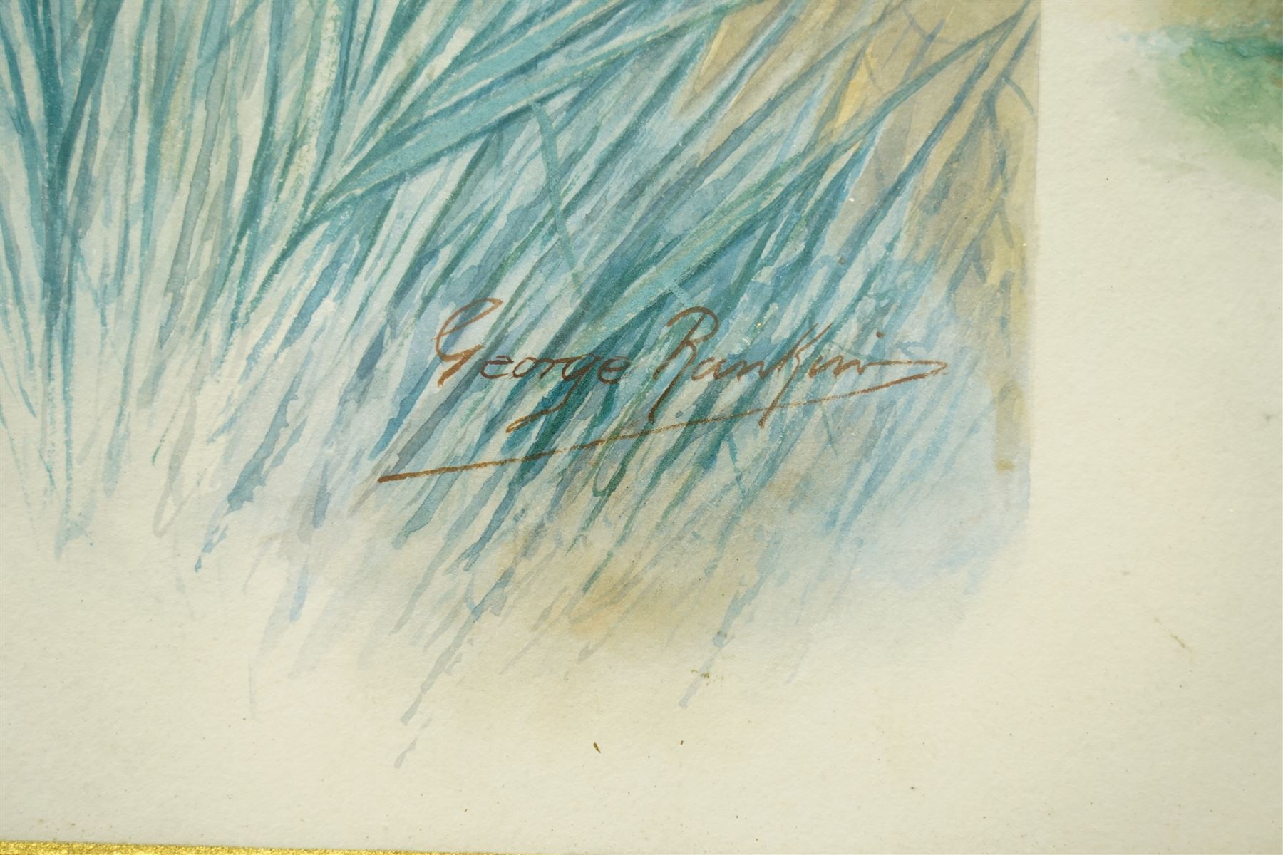 George James Rankin (British 1864-1937): House Martin and Herring Gull, two watercolours signed 33cm x 25cm (2)