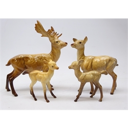  Beswick Deer family comprising Stag, Doe and two Fawn (4)  