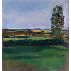 English School (Contemporary): Clouds Gathering over the Fields, pair of oils on board unsigned 31cm x 30cm (2)