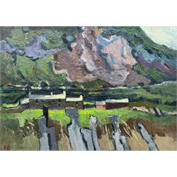 Robert Dawson (British 1926-1997): 'Tygwyn', oil on board signed with initials 51cm x 72cm 
Provenance: with the Goldmark Gallery, Uppingham