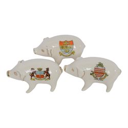 Large collection of Crested Ware pigs, including examples from Southport, Layton, Tottenham Whitby etc 