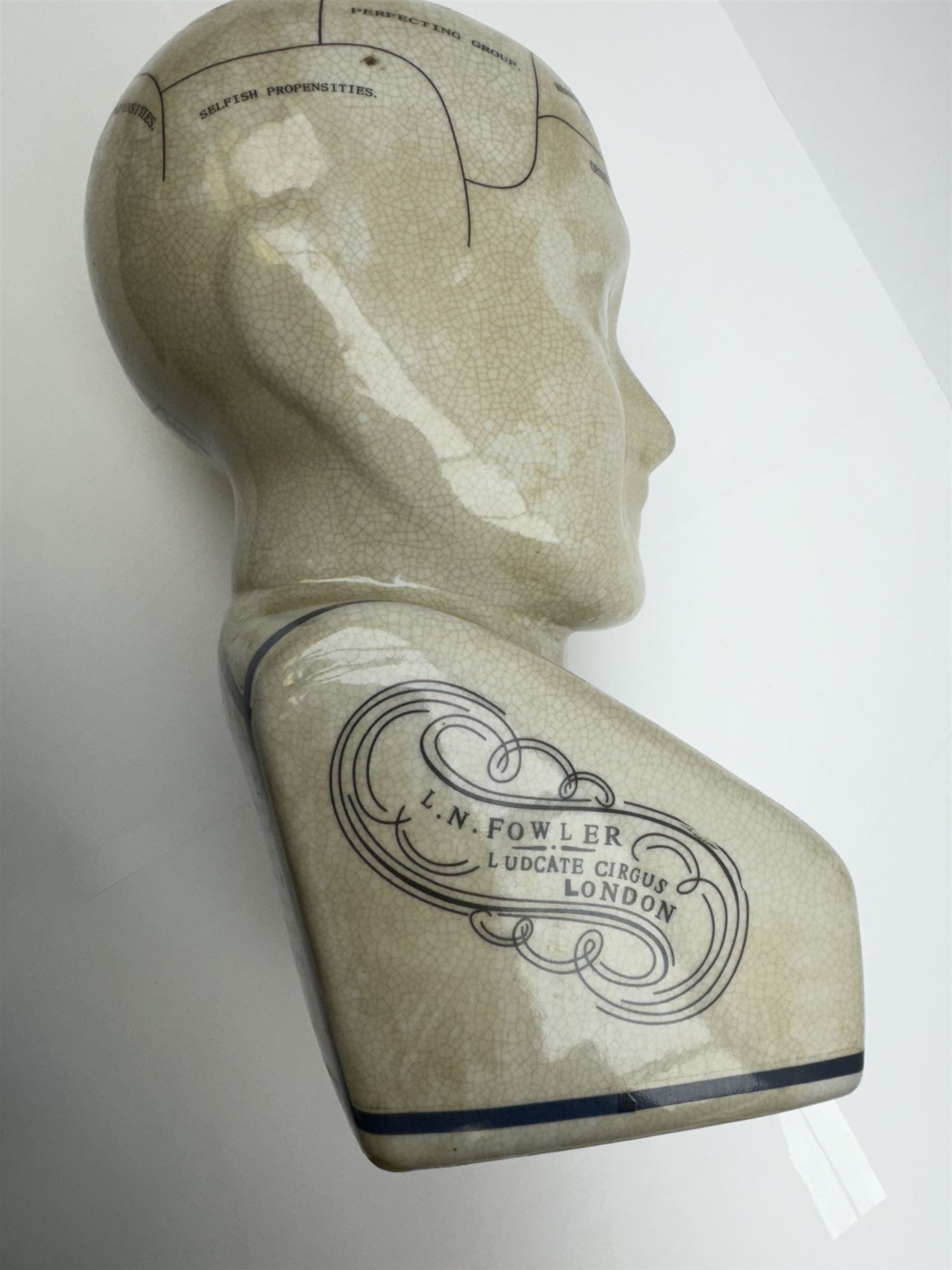 Phrenology head H29cm  and a Palmistry hand H28cm