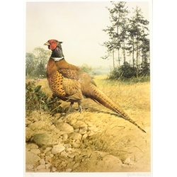 Edwin Penny (British 1930-): Pheasant, limited edition print pub. Venture Prints signed and numbered 152/250 in pencil 53cm x 39cm