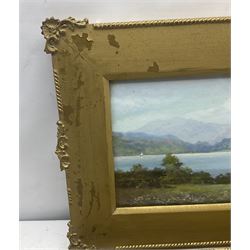J Rogers (British 19th/20th century): Lake Scene and Coastal Scene, pair watercolours signed 20cm x 53cm (2)