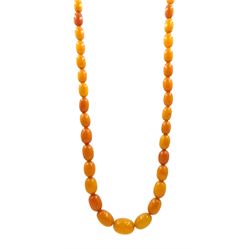 Single strand graduating oval butterscotch amber bead necklace, with gilt clasp