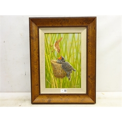  Robert E Fuller (British 1972-): 'Reed Warbler and Cuckoo Chick', oil on board signed and dated 2010, 33cm x 22cm Provenance: from a single owner collection purchased from the Robert Fuller Gallery between 2006 and 2014  DDS - Artist's resale rights may apply to this lot   