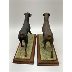 Border Fine Arts Doberman Pinscher, black with brown markings, limited edition 279 of 500 modelled by Elizabeth Waugh, with plinth H20.5cm, together with Border Fine Arts Doberman Pinscher, dark brown with light brown markings, limited edition 297 of 500 modelled by Elizabeth Waugh, with plinth H20.5cm