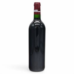 Chateau Lafite Rothschild 1995 Pauillac, 75cl, 13% vol 