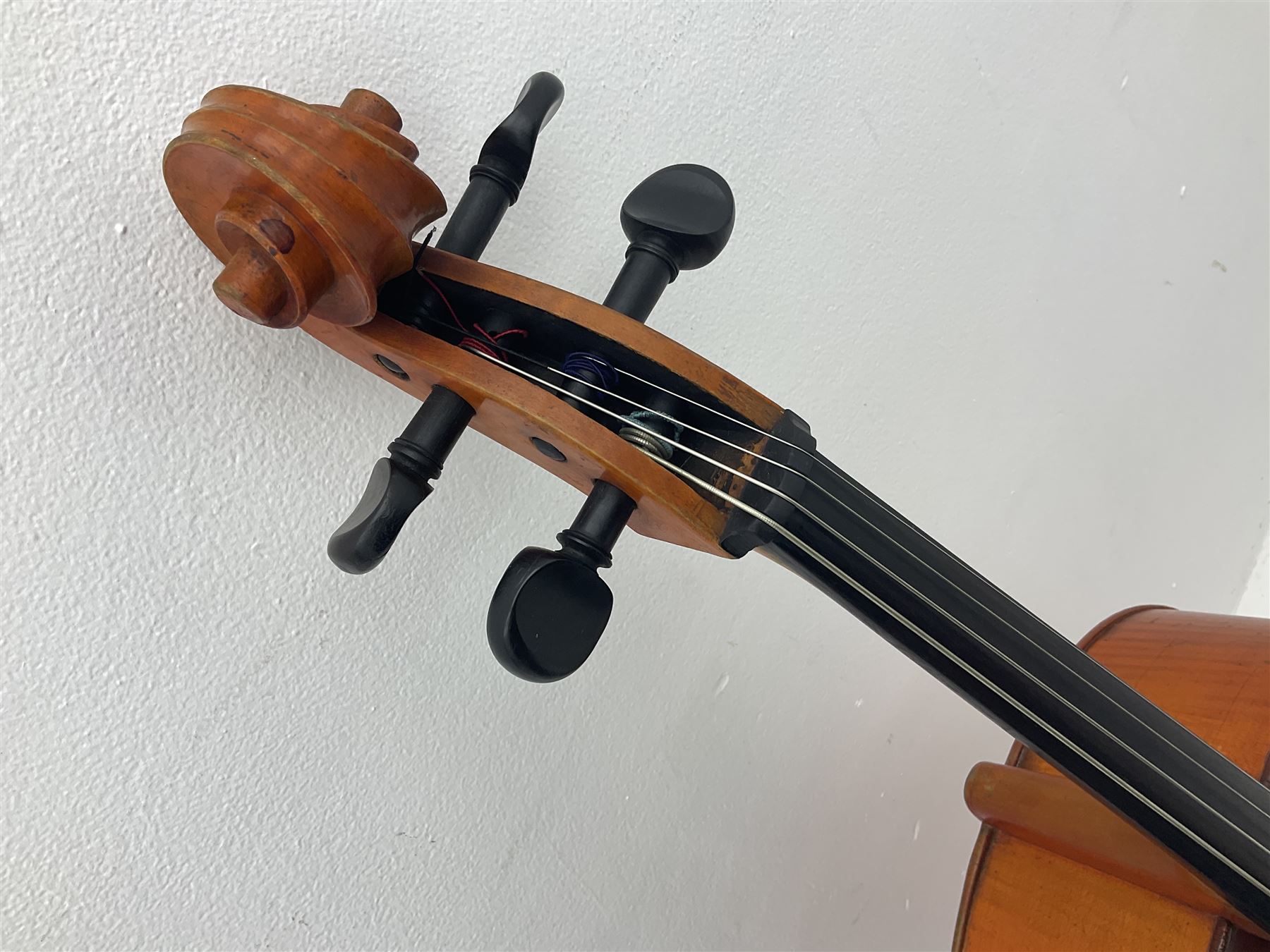 Modern student's three-quarter size cello with 70cm two-piece maple back and ribs and spruce top, L113cm overall
