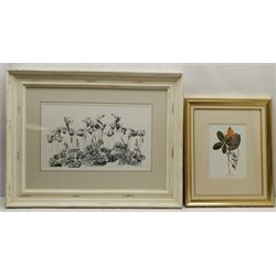 Large monochrome floral print and another smaller similar, both in quality frames (2)