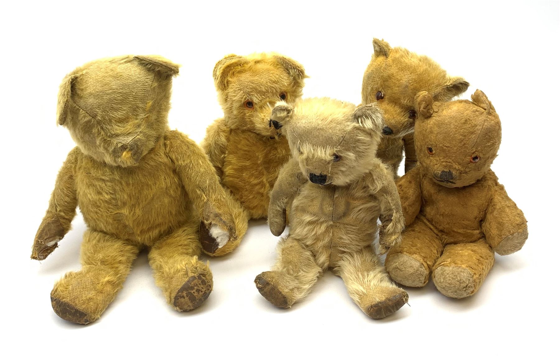 $10,000 Teddy Bears  Teddy bear, Teddy, Old teddy bears