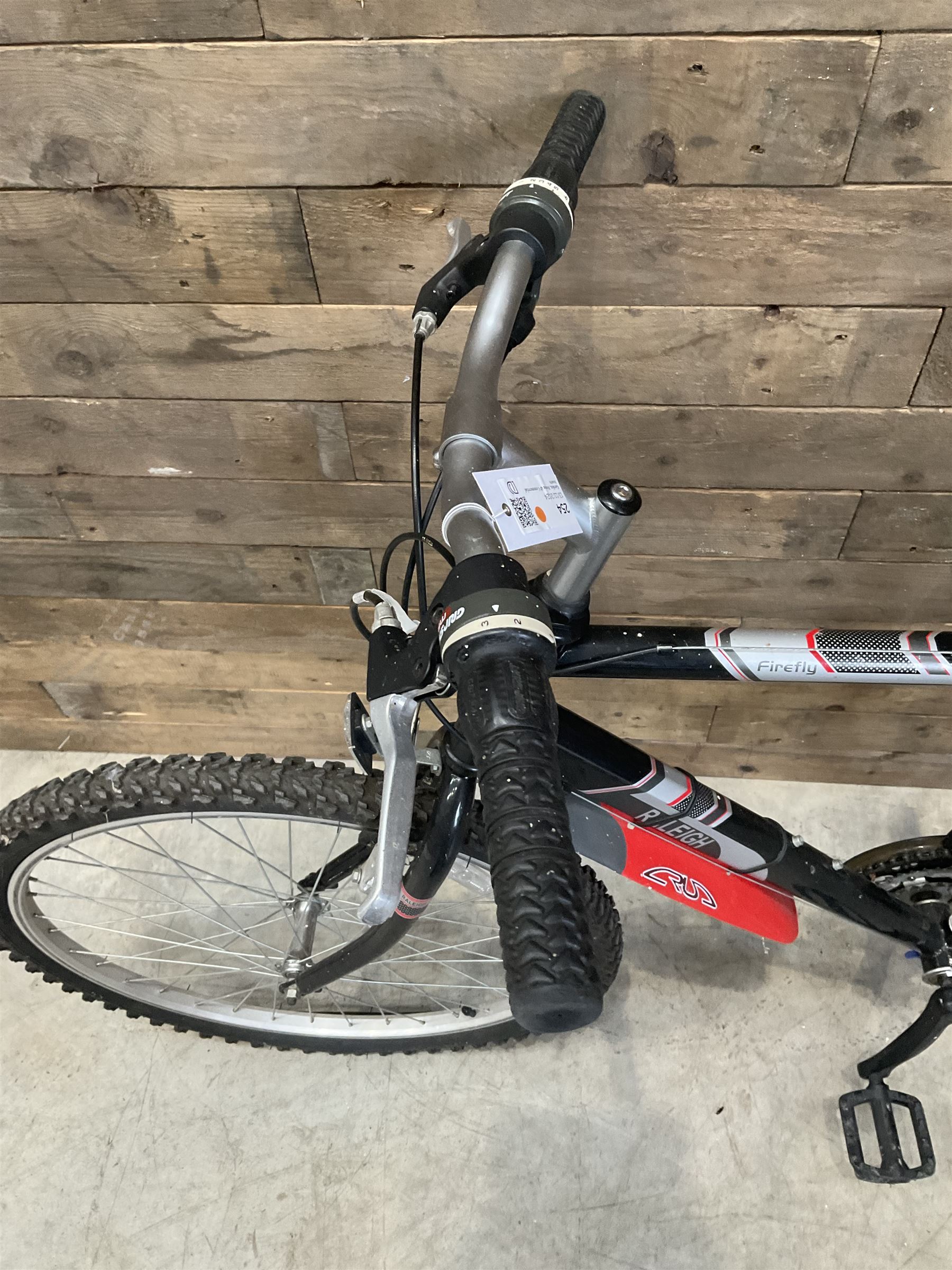 Raleigh Firefly 18 speed mountain bike