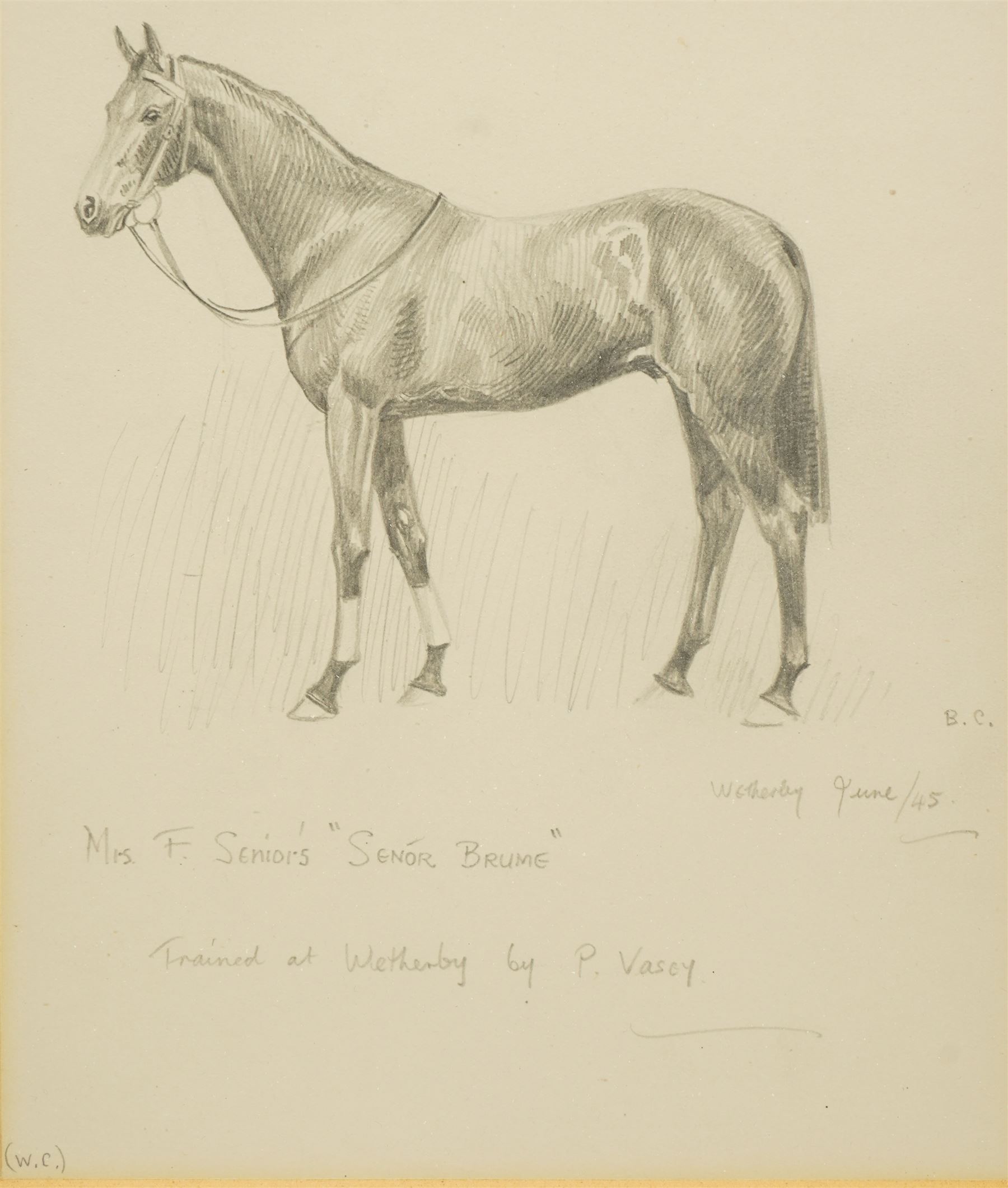 Joseph Appleyard (Yorkshire 1908-1960): Horses 'Midas' 'The Yuvaraj' and 'Senor Brume', set of three preliminary pencil sketches unsigned, variously inscribed 22cm x 17cm (3)