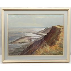 Jill Grinstead (British Northern Contemporary): 'Vanishing Coastline' Holderness, pastel signed, titled verso 48cm x 66cm; Doreen Dawson (20th century): River Landscape, pastel signed 34cm x 45cm (2)