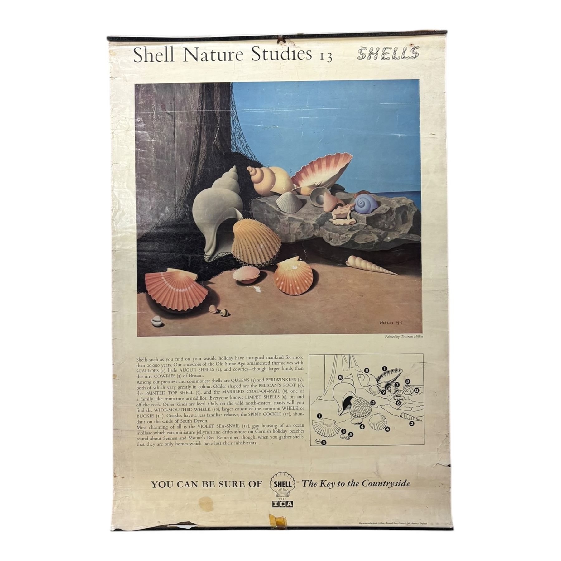 Collection thirty seven vintage county guide posters produced by Shell, H76cm, W51cm