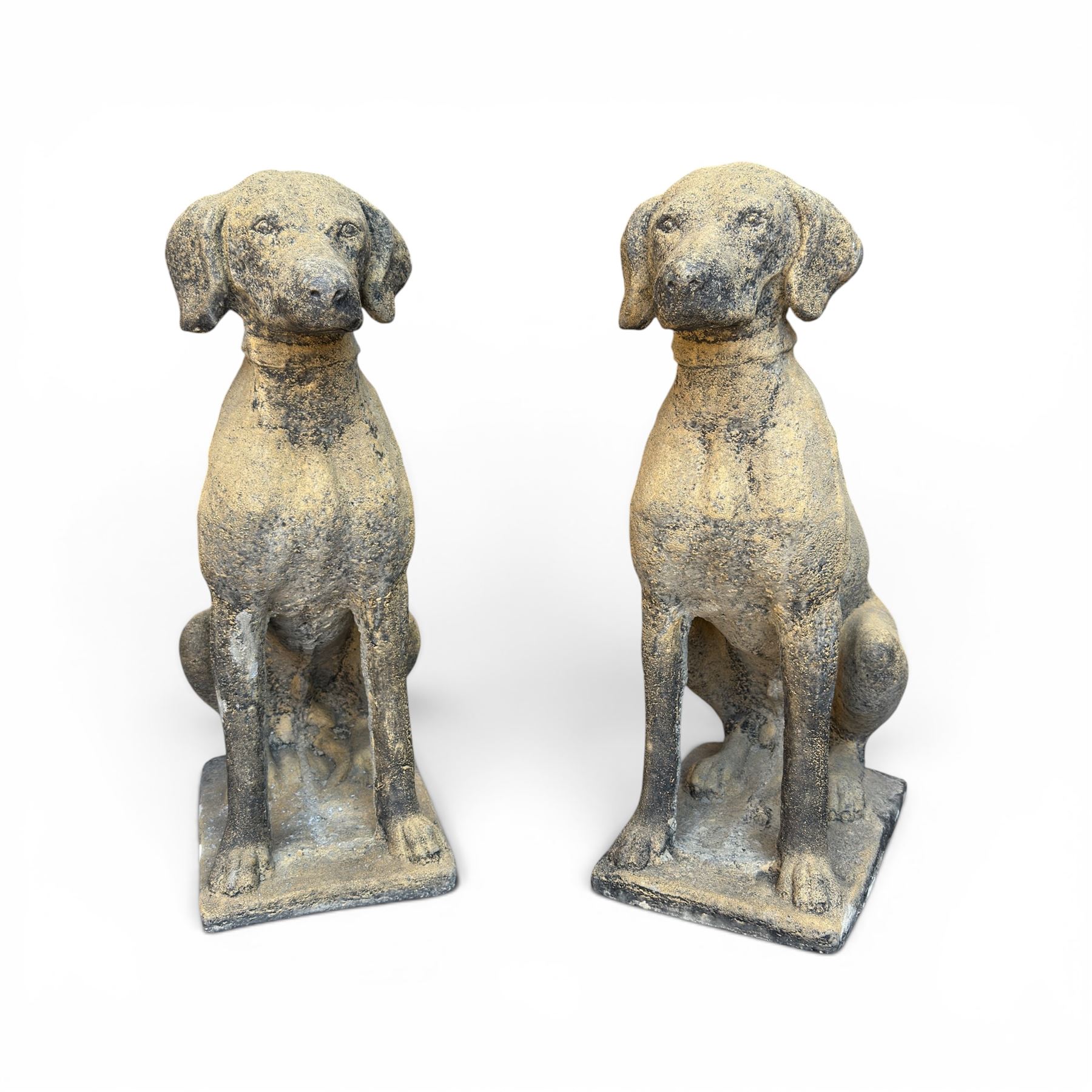 Pair of cast stone hunting pointer dogs in seated poses raised on rectangular bases, in antique weathered finish