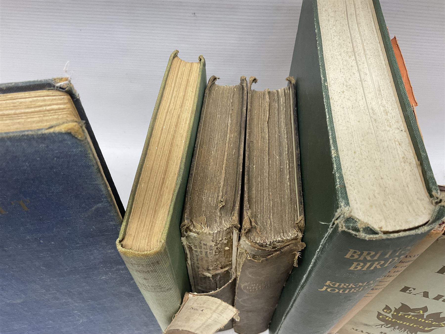 Books - Natural History - Robert Mudie, Mudies British Birds, The Feathered Tribes of the British Isles, two volumes, second edition, Whittaker & Co., Ave Maria Lane, London, 1735, chromolithographic plates, Peter Scott, Morning Flight, A Book of Wildfowl, Hazell, Watson & Viney Ltd, London and Aylesbury, 1947, F B Kirkman & F C R Jourdain, British Birds, London T C & E C jack Limited, Edinburgh, 1932, plus other examples on ornithology, (7)


