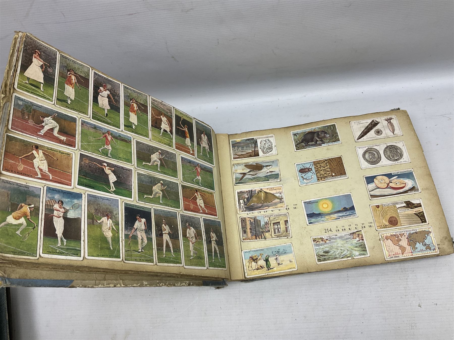 Three albums of cigarette cards including Wills Recruiting Posters, Military Motors and Allied Army Leaders, cricketers etc; another album containing a large quantity of laid-in cigarette cards; and an album of thirty-seven postcards of dogs by Mac (5)