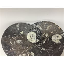 Pair of dishes in the form of hearts with a raised Goniatite to the centre and Orthoceras and Goniatite inclusions, age: Devonian period, location: Morocco, D16cm