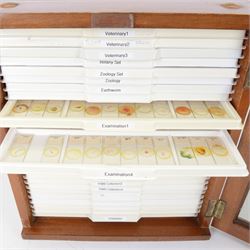 Large collection of prepared microscope slides, including animal and human pathological, physiological and histological specimens and botanical specimens, mostly annotated in ink, with examples including earthworm ovary, pneumonia lung, tip of a human tongue and rabbit cerebellum, contained within two mid 20th century wooden specimen cabinets with glazed doors, each containing twenty-eight plastic slide trays, cabinet H46cm