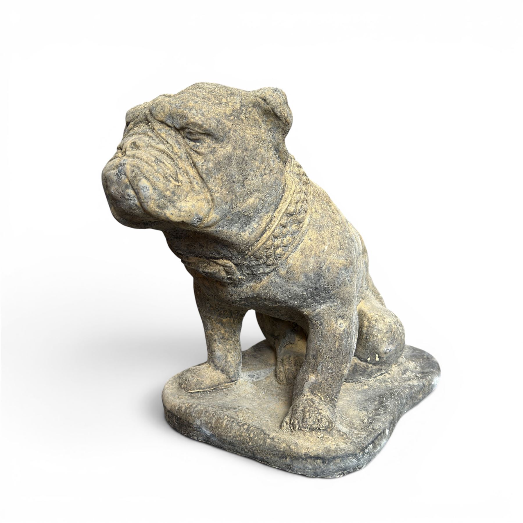 Cast stone garden statue on the form of a seated British bulldog with studded collar on a shaped rectangular base