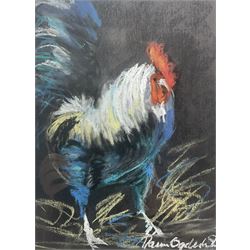 G H Yates (British 20th Century): 'From Sandsend to Whitby', watercolour signed, titled verso; Yolanda (British 20th Century): 'The Isle of Arran', oil on canvas signed, titled verso together with a Ron Wagstaff watercolour and another indistinctly signed pastel max 28cm x 38cm (4)