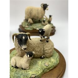 Three Border Fine Arts models, Spring Lambing, model no JH6, by Ray Ayres, King of the Castle, model no JH37, by David Walton, and Reaching for the high bird, with black Labradors, by Ray Ayres, each upon wooden base