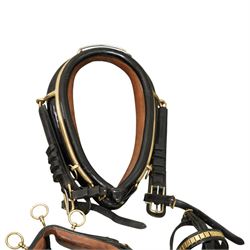 John McDonald - team set of black leather and brass harness, including four black patent leather collars (24
