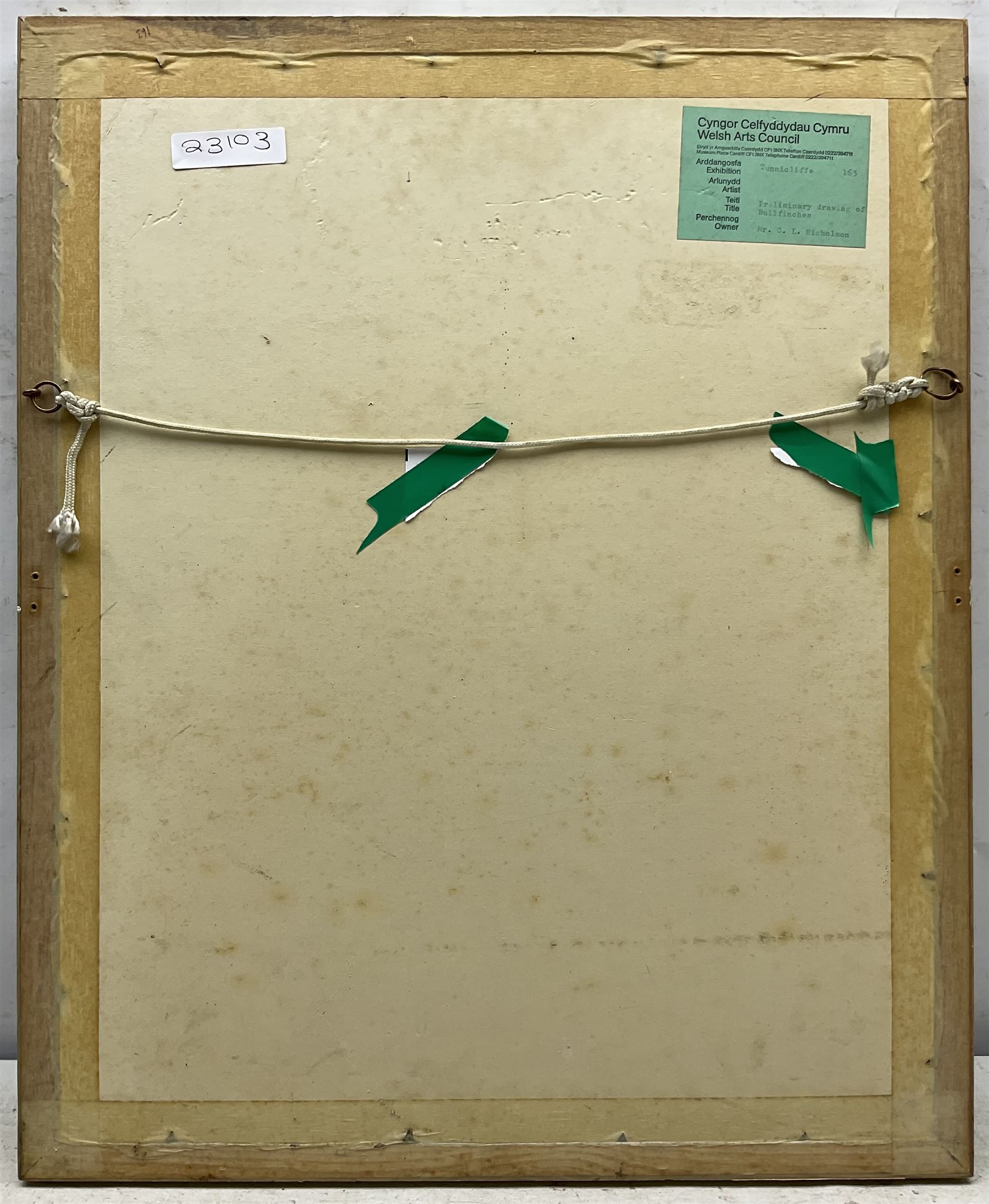 Charles Frederick Tunnicliffe (British 1901-1979): Bullfinches, gouache signed, titled on Welsh Arts Council label verso 31cm x 21cm