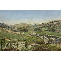 Angus Bernard Rands (British 1922-1985): Dales Landscape, pastel signed 42cm x 62cm