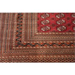 Large Afghan Bokhara crimson ground carpet, the field with rows of repeating Gul motifs and geometric design, enclosed by multiple repeating geometric guard bands