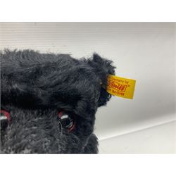 Seven modern Steiff teddy bears comprising two limited edition '1908 Paul the Growler' bears Nos.1124/3000 and 1310/3000; 028649 Classic Teddybear 23; 005992 Classic Teddybear 28 (black); 071249 Mungo Meerkat 30; 079139 Reclining dog for American Kennel Club; and 029561 Petsy gespitzt (1928) 16cm; together with a Mrs. McCatty's limited edition 2156 Sophie bear No.1557/1750; all unboxed but most with labels (8)