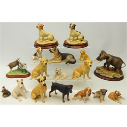  Border Fine Arts limited edition figure of an elephant, 'Heard Bull', No. 243/1250, L22cm, figure of a goat 'Prize Blooms', 'Evening Vigil' and fourteen Border Fine Arts figures of dogs (17)  