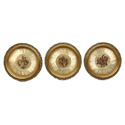 Pampas grass wall art, decorated with dried foliage upon a central circular panel, in ornate gilt frames, D24.5cm (3)